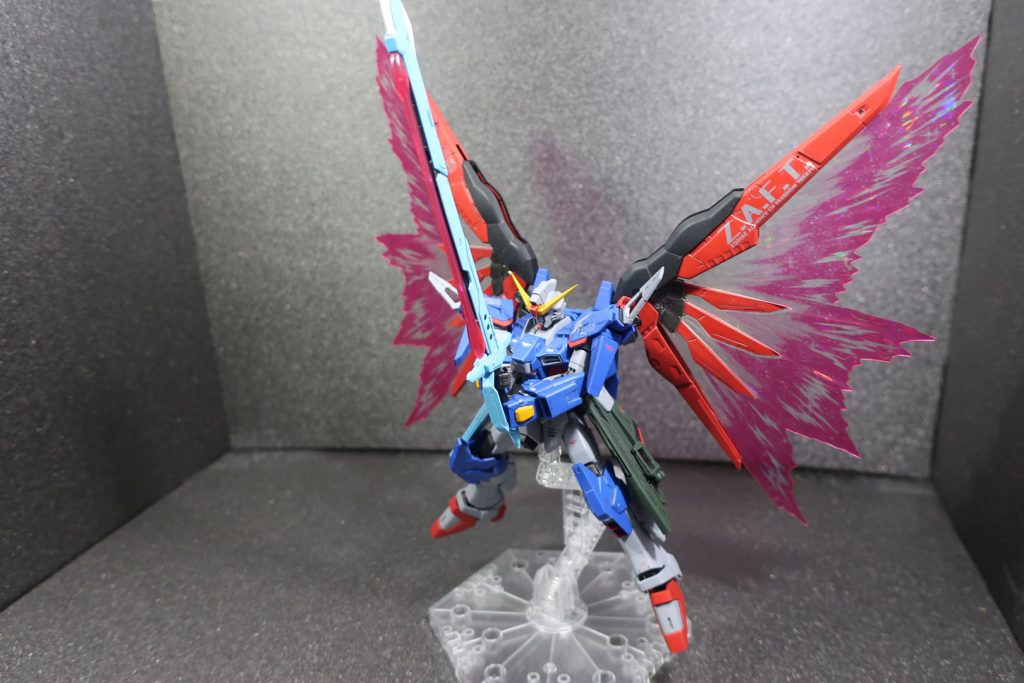 デスティニーと言えばこのポーズだよね