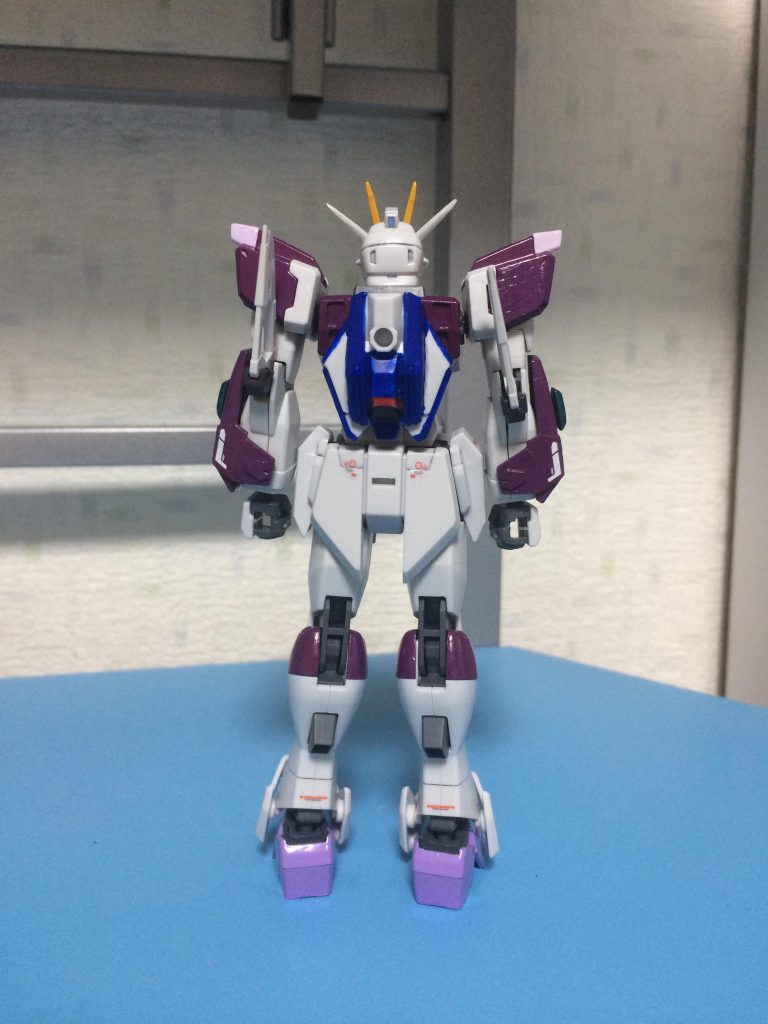 デスティニーシルエット無し背面