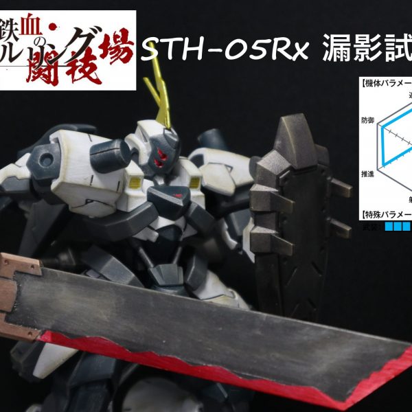 STH-05Rx 漏影試験型