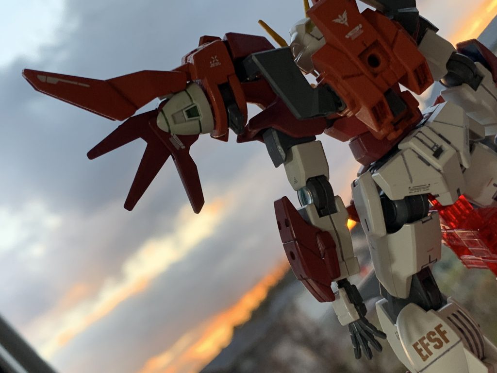 夕暮れ時のサンセットスカイを眺めるサンセットスカイ。