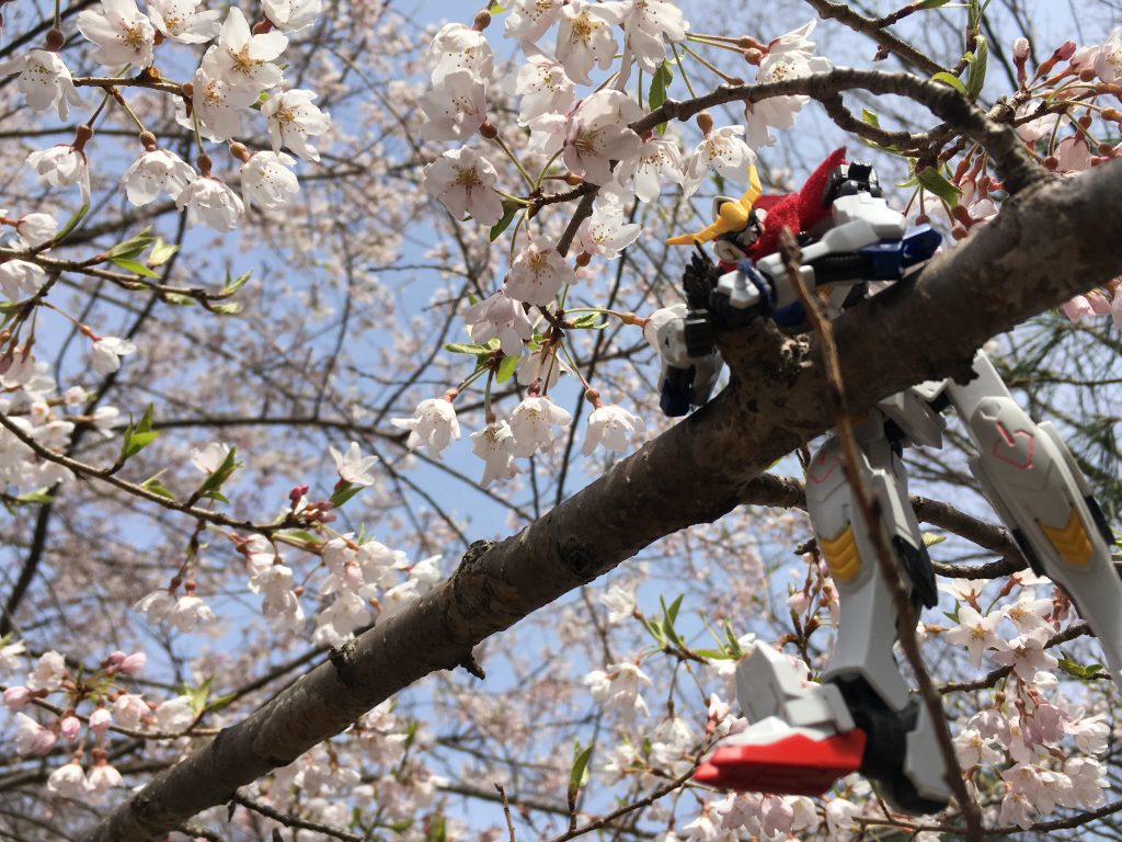 お外で遊ぶのもだいすき!!!
こんなノリでやってます