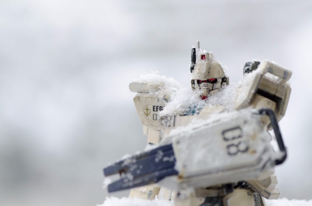 しばらく放置して積雪させました。