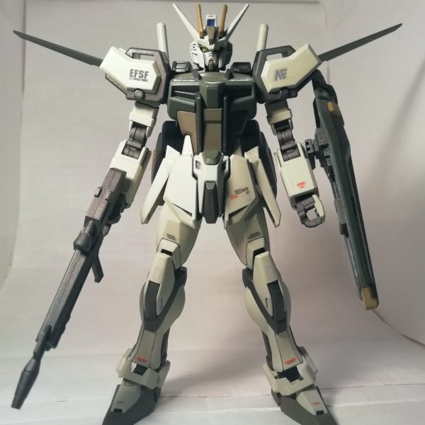 HGCE ストライクヴェール