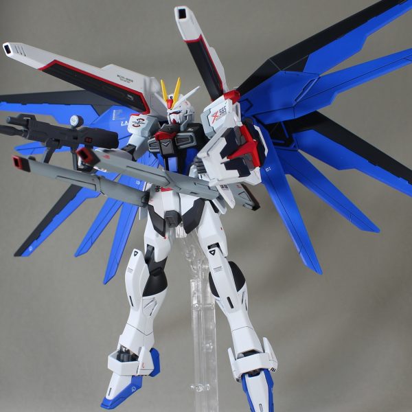 フリーダムインパルス