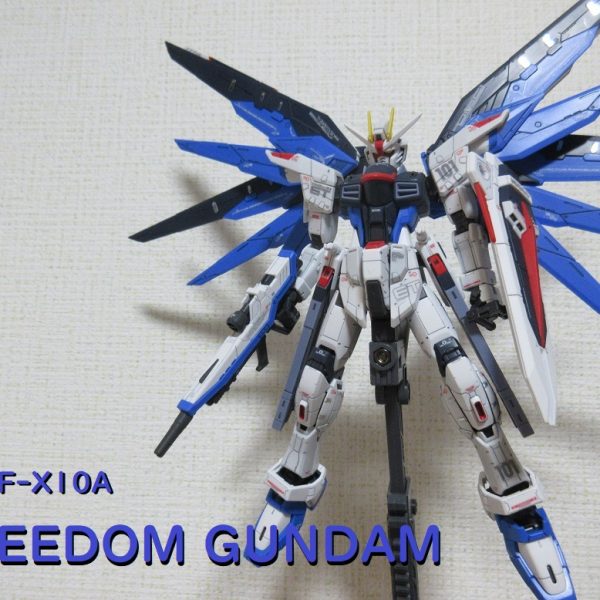 RG フリーダムガンダム