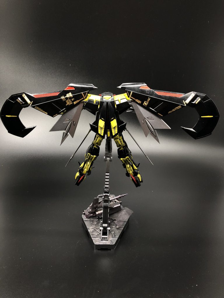 両羽広げると圧巻