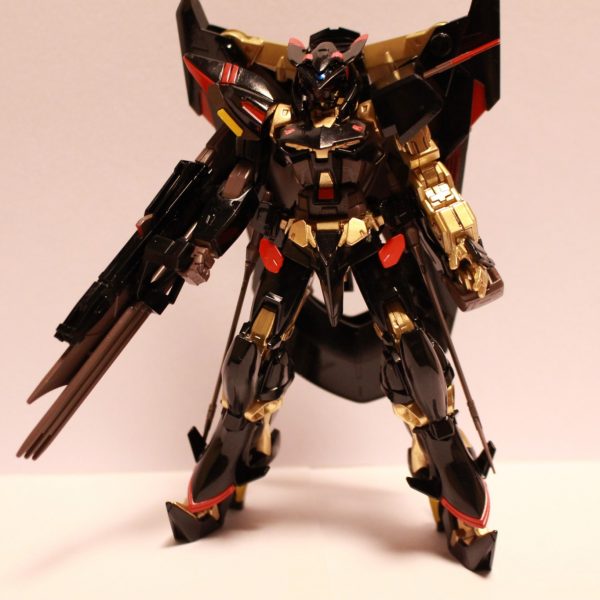 初塗装(部分)ゴールドフレーム天ミナ