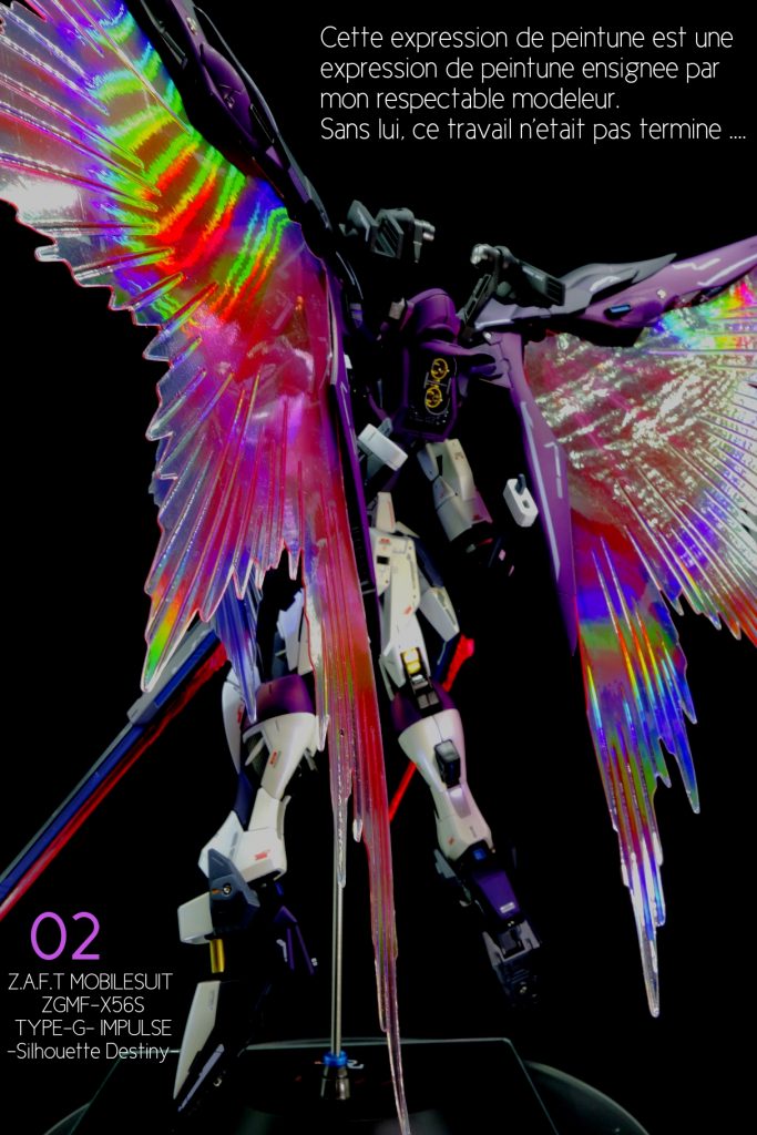 バックショットです。