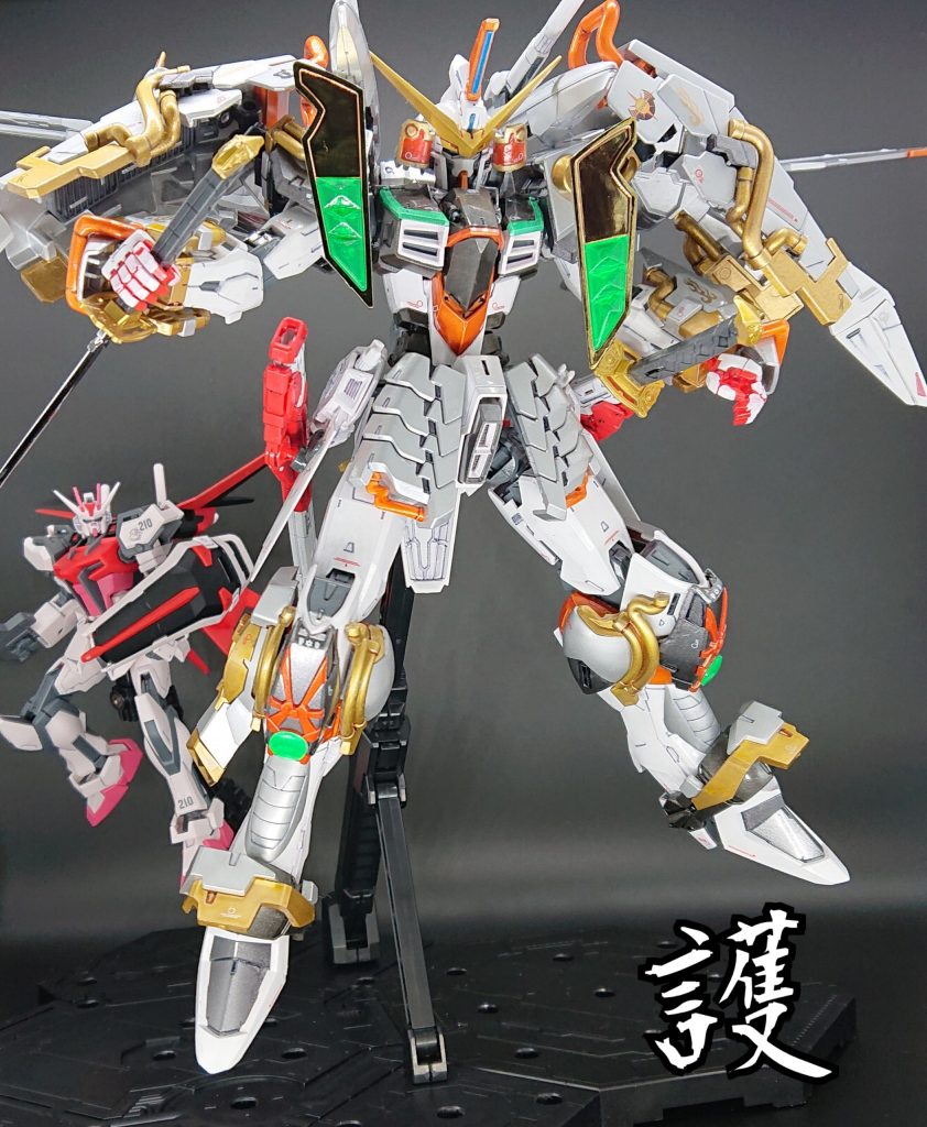 【護衛】
アスラン「カガリ、無茶はよせ。下がっていろ!」