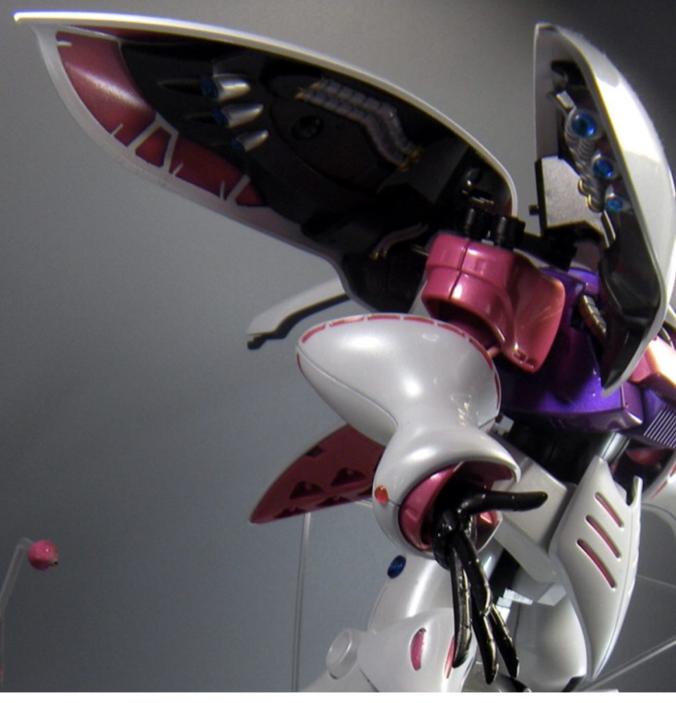 羽の中も塗り分けています♪