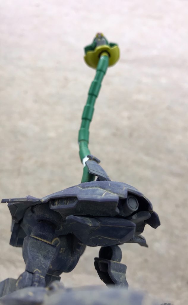 冬虫夏草は確認されている個体数が少なく、詳しいことはよくわかっていません。