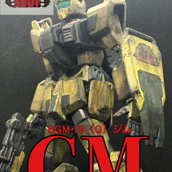 陸戦型ジム特殊傭兵部隊所属機