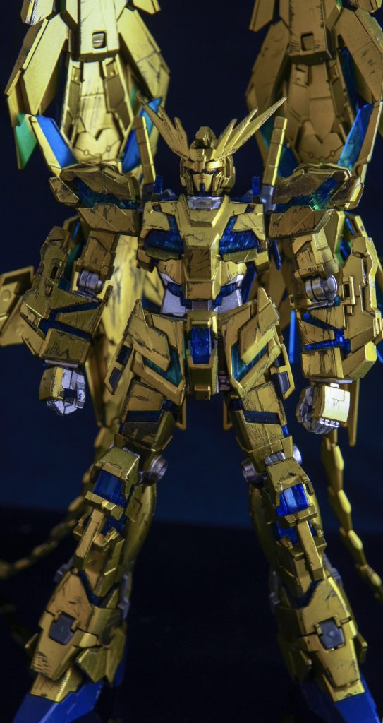 全体像。胸あたりの剥がしが上手くいったかな