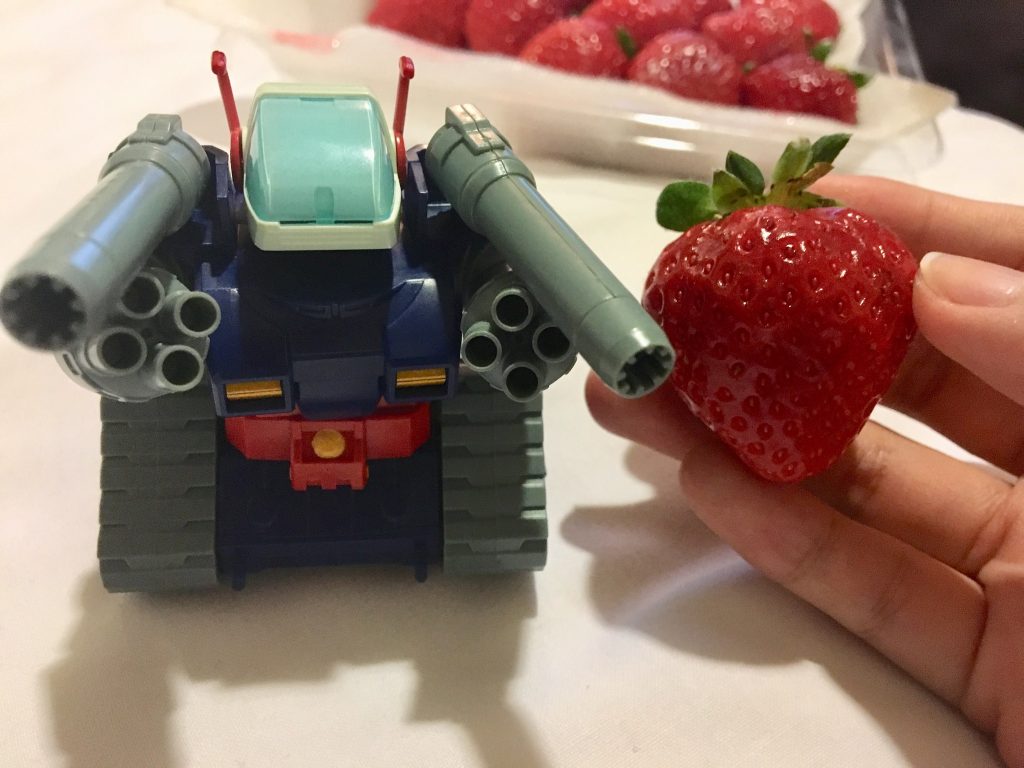 んな不思議なパゥワーを持って生まれてきたんだね。でもある日、突然君はケガをして、泣きながら私の元へ来て