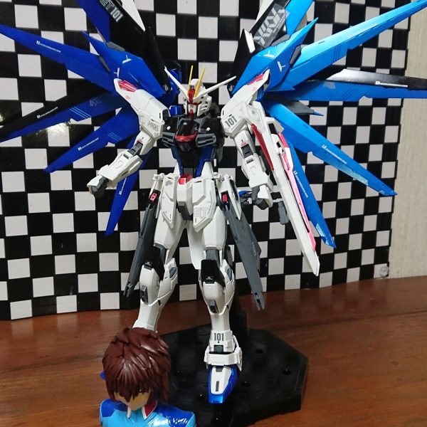 MG フリーダムガンダムVer.2.0
