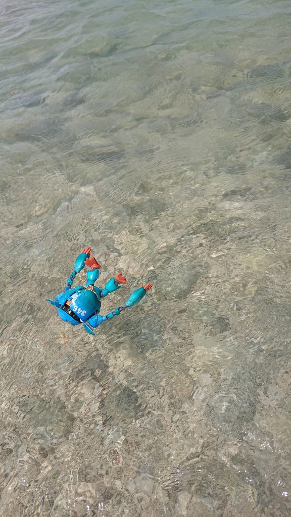 水泳部だから泳がせないと！とおもったら流されました笑