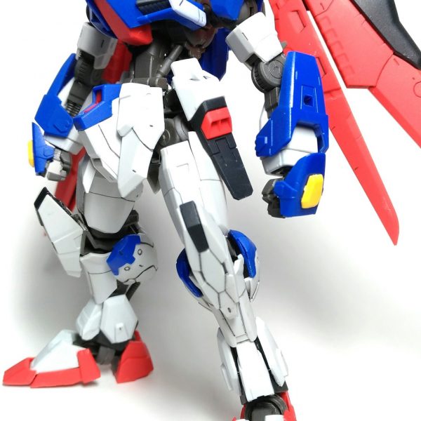 ディスティニー・フレーム