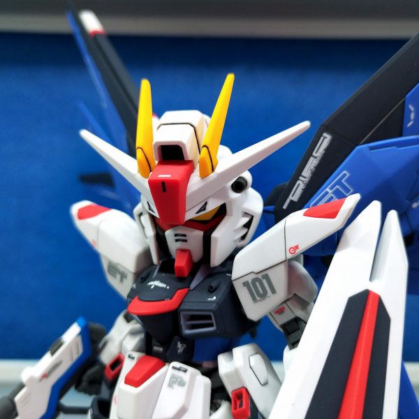 SD Freedom Gundam