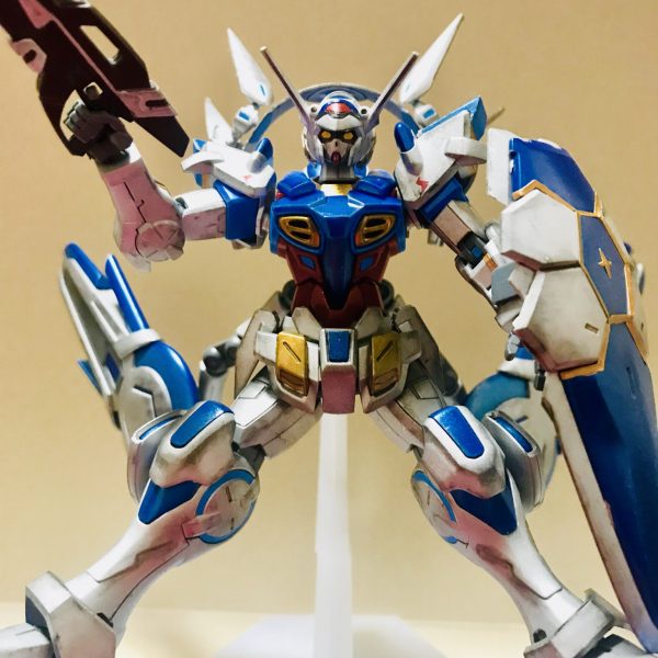 Gセルフ パーフェクトパック