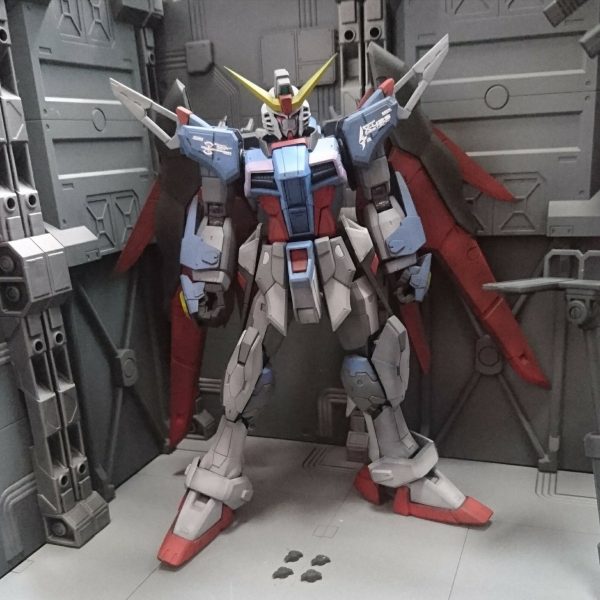 ＲＧ ディステニー