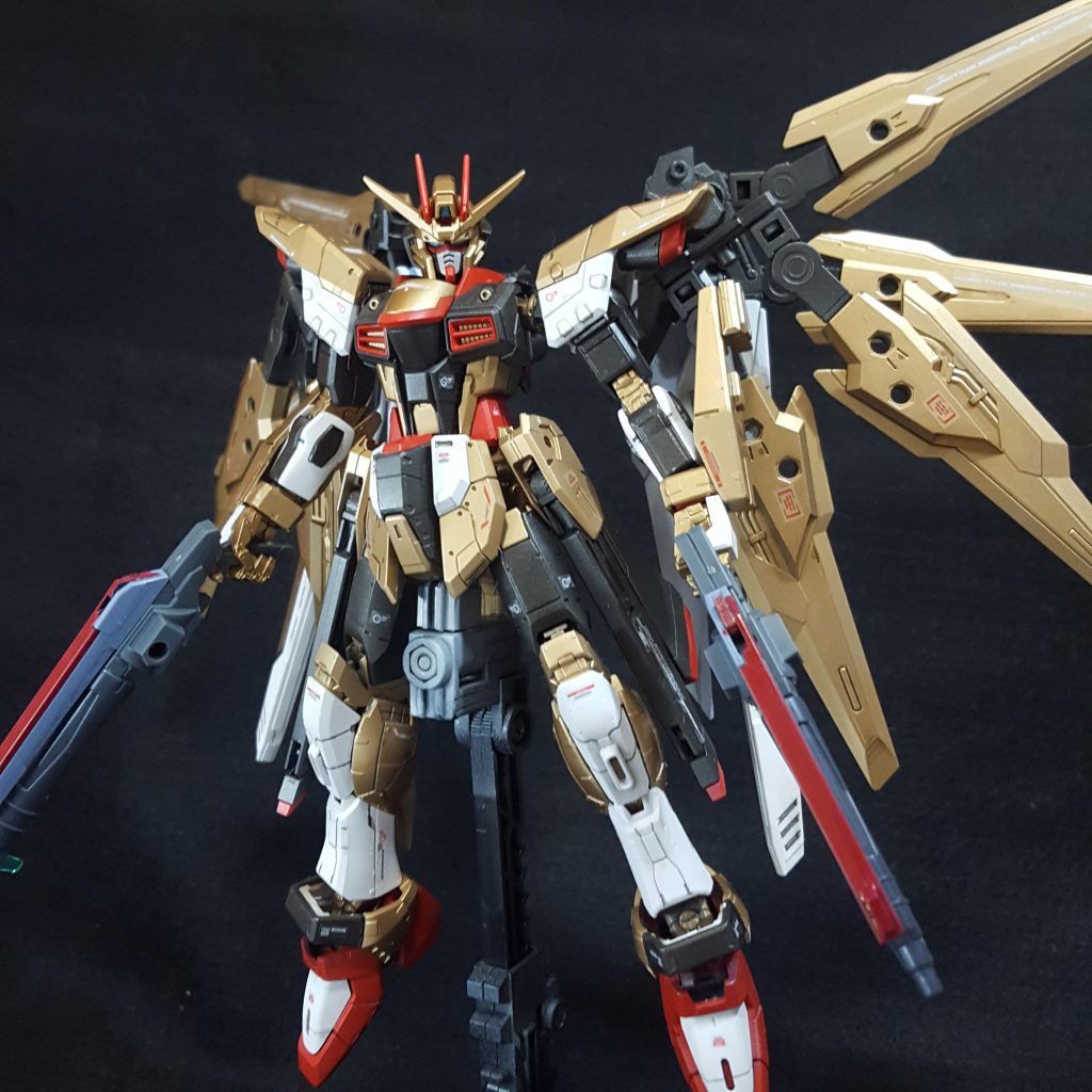 フェイクストライクフリーダム むつさんのガンプラ作品 Gunsta ガンスタ