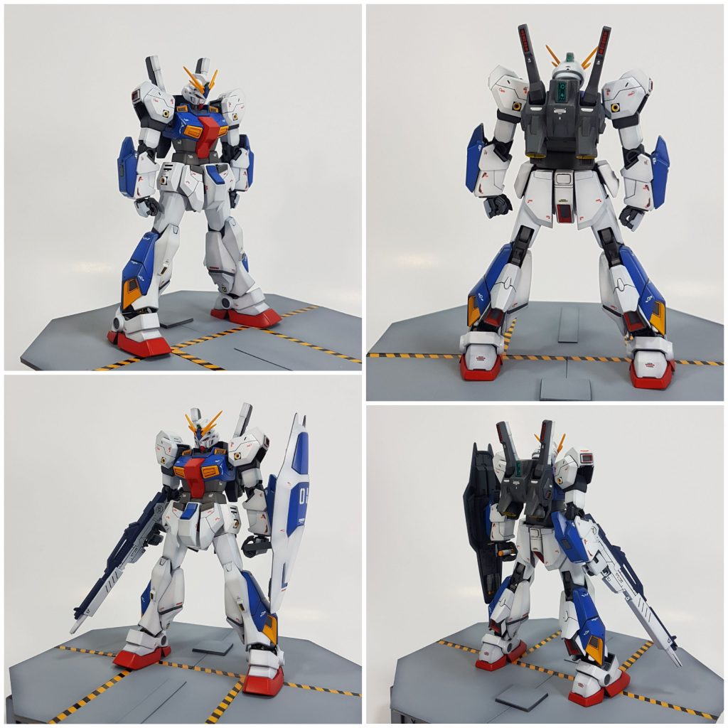 ノーマルパックです