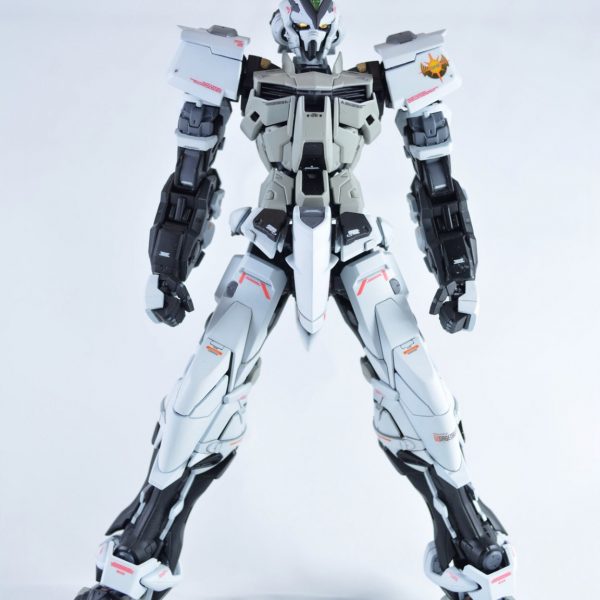 GUNDAM  ASTRAY REUNION