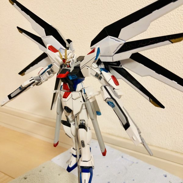 ストライクフリーダム ver.MSM