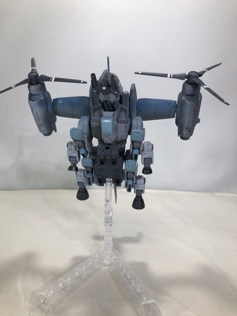 前からと腹側から。