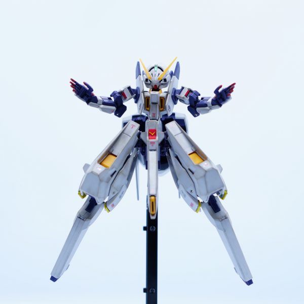 TR-6 ウーンドウォート