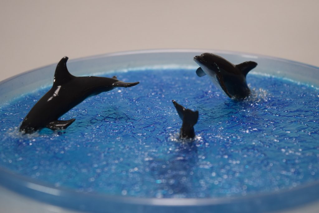 カバー上にもイルカが泳いでいます。