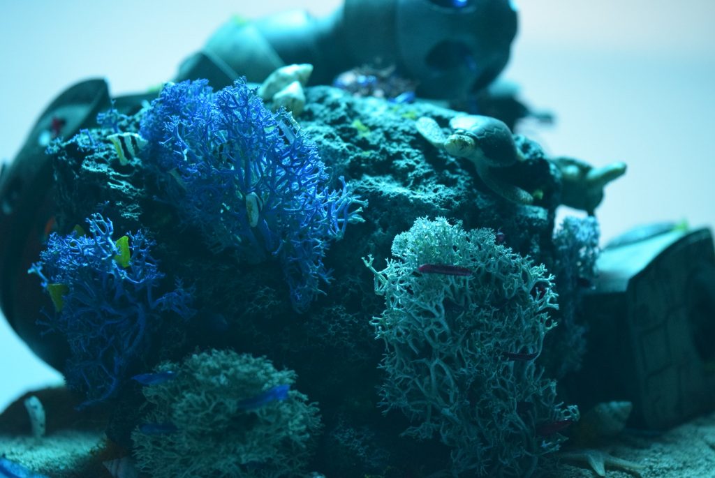 僕らのお家アッガイハウス–4枚目/制作者：かずぴょん