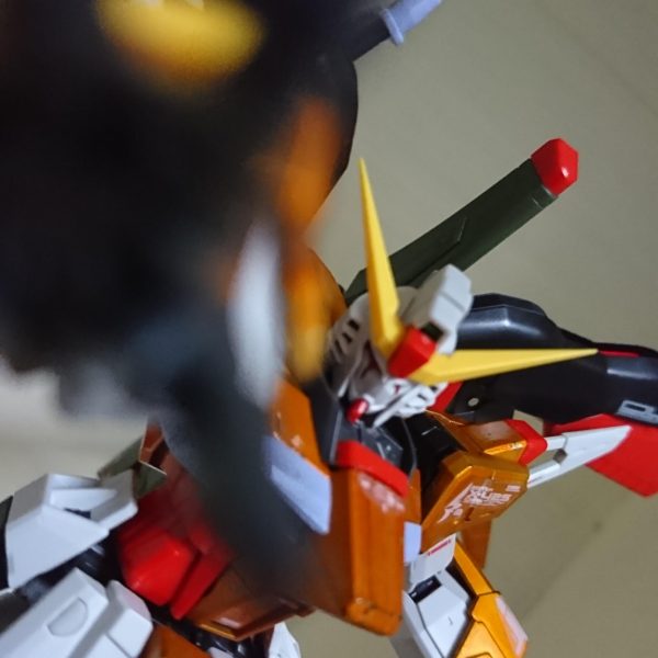 ハイネ専用デスティニーガンダム