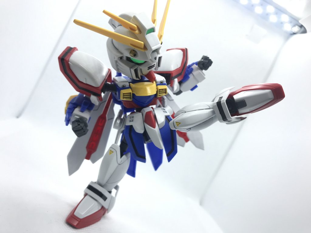 パンチやキックもお手の物