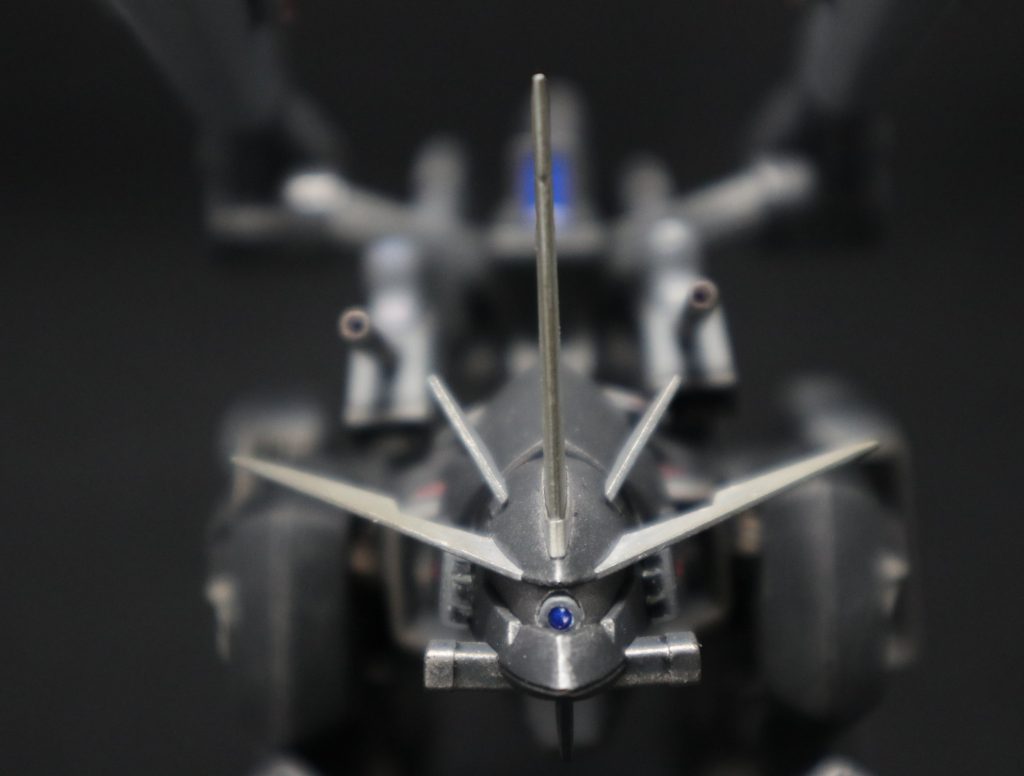 頭部正面アップ。