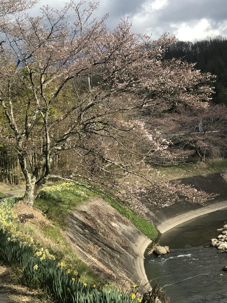 景色だけのせていいのかわかりませんが
こんな感じの景色です!昼から午後にかけてです。
