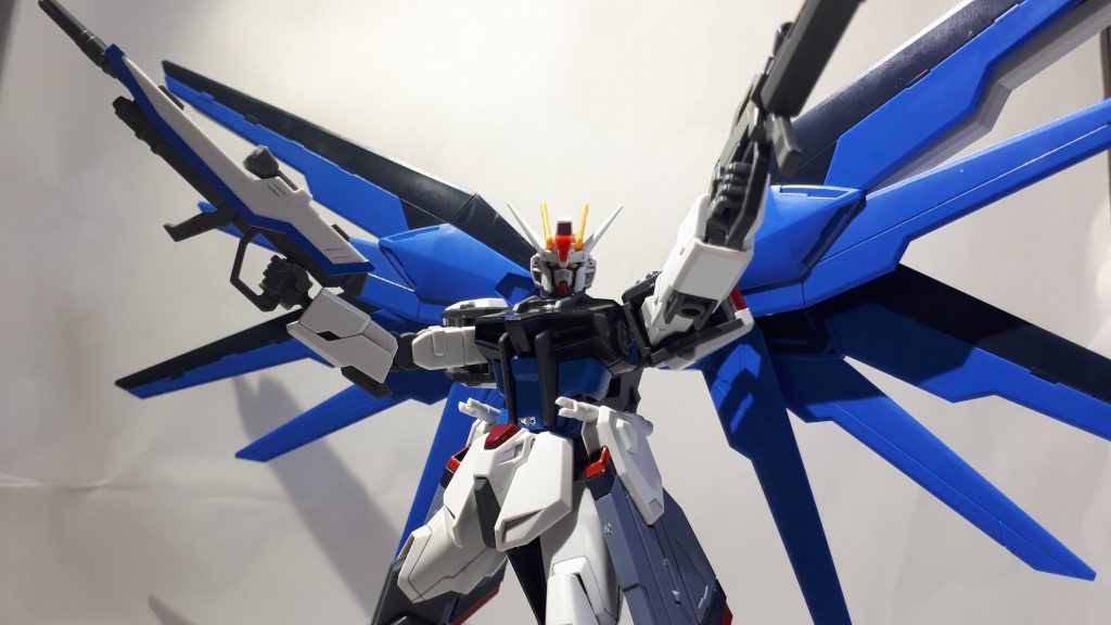 翼展開もフリーダムのように。