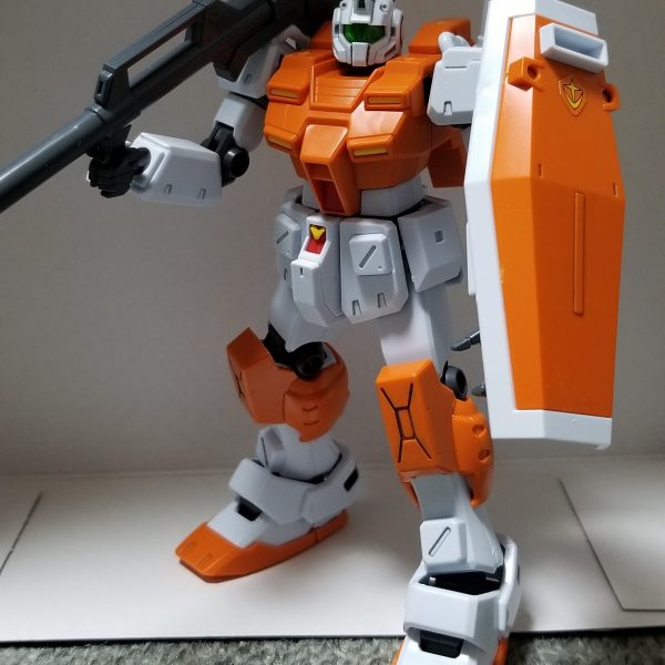 ジムの日なので