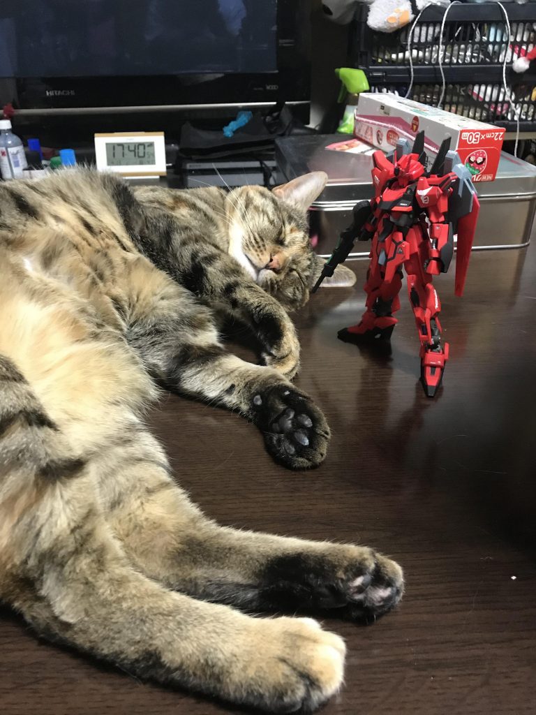 この妖怪パーツ隠しにより、ランナー一枚丸ごと持っていかれるトラブルがありましたが
無事仕留め取り返しました💦