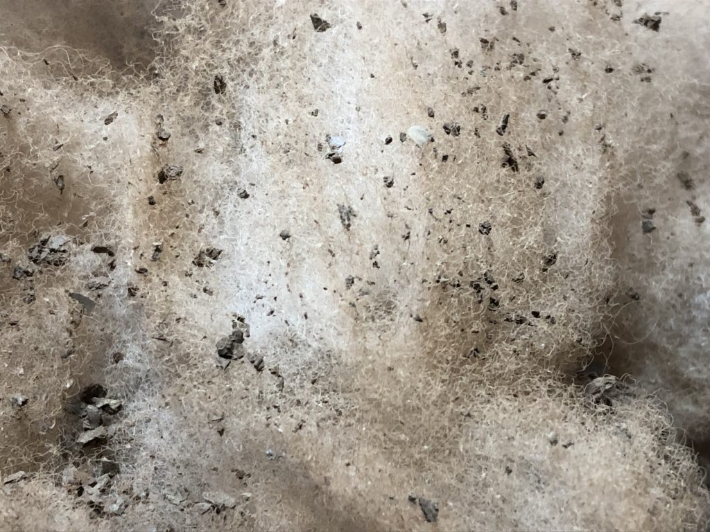 作ってる途中で思いついて砂煙の中にモデリングペーストを固めて細かく砕いた物を散りばめてバルバトスが動いた際に蹴り上げた石や土の塊を表現してみました
(´∀`)