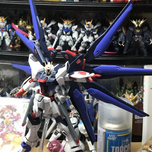 HGCE ストライクフリーダムガンダム ～Amazing color ver.～