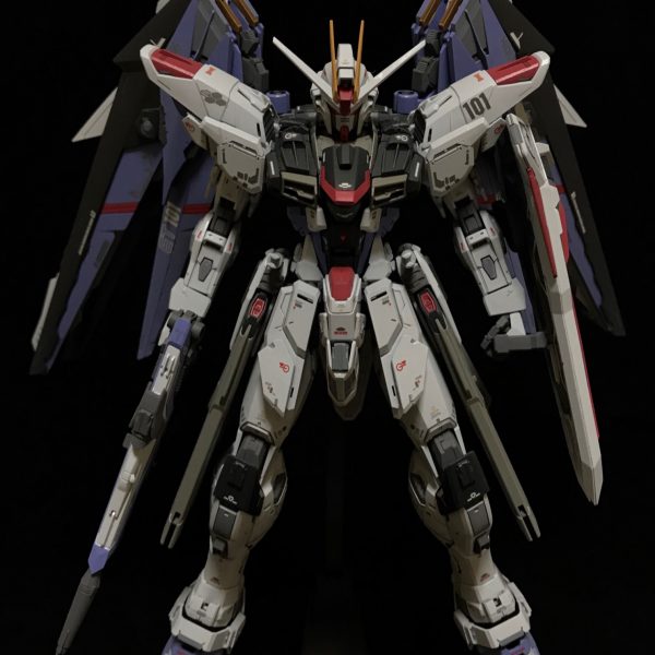 MG1/100 FREEDOM ver2.0