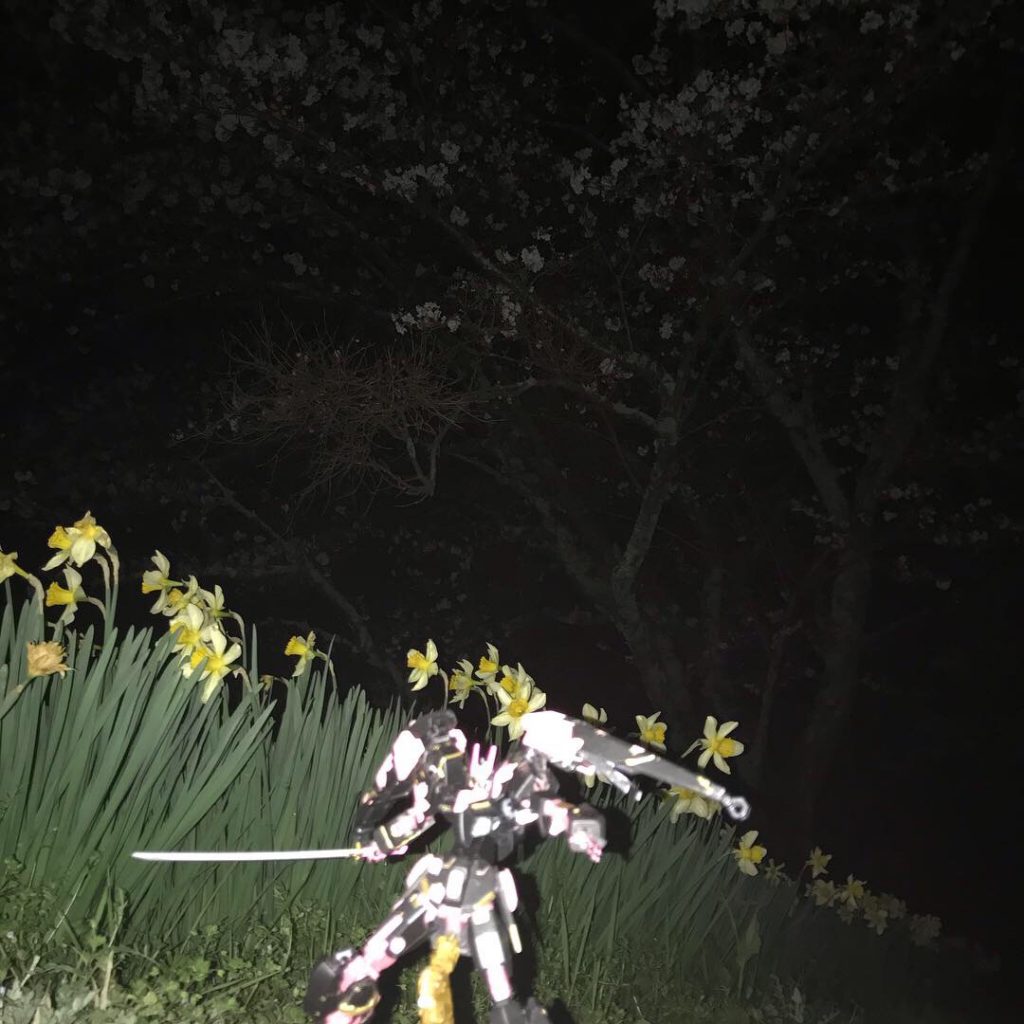 夜桜とともに!ライトアップしてないのでフラッシュガンガンにたいたのですが...
もうしょうがないですねw