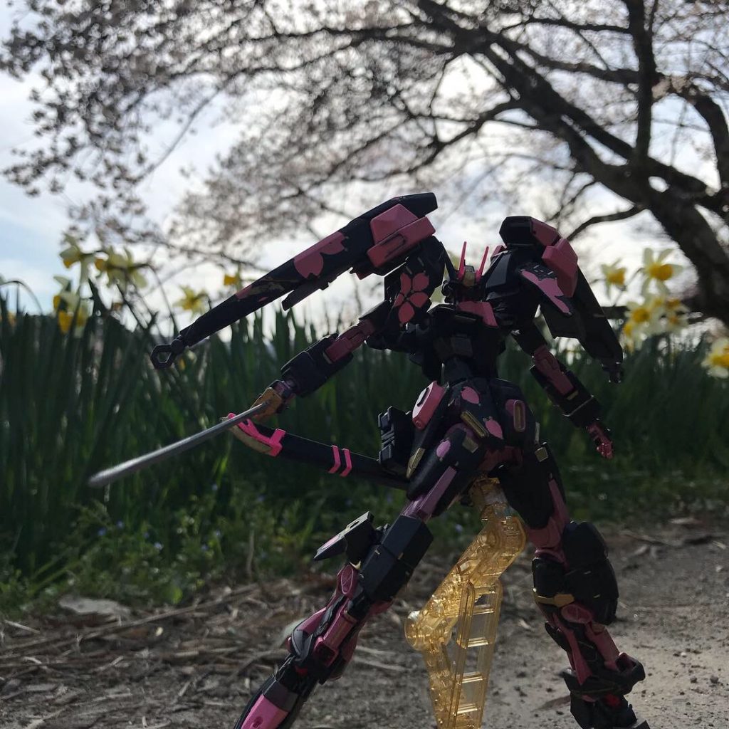 外の桜と!!めちゃくちゃ綺麗でした!