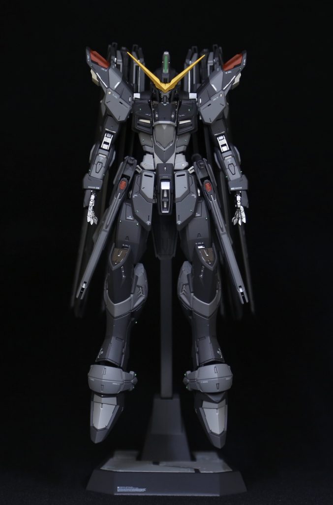 翼を閉じて正面から