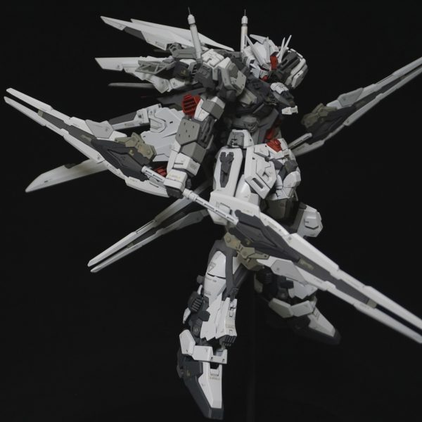 MG1/100 Aile STRIKE ver.RM
