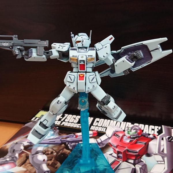 ジム・カスタム(713部隊仕様)