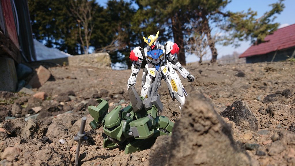 一枚目より上手く撮れたショットです