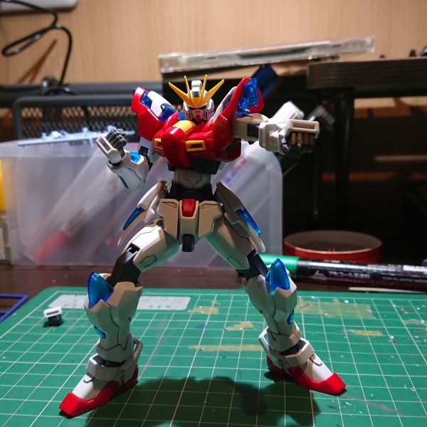 トライバーニング