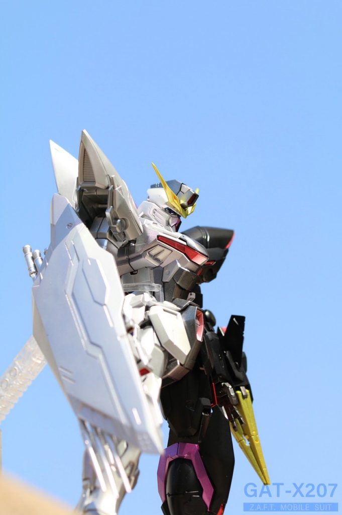 天気が良かったので、初の野外撮影